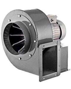Вентилятор радиальный BURAN PRO 200 правосторонний двухполюсный двигатель Era