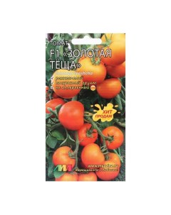 Семена томат Золотая теща F1 Селекционер мязина л.а.