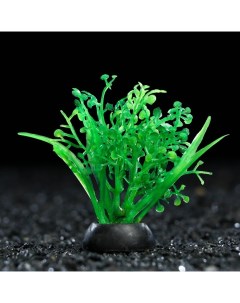 Растение искусственное аквариумное 5 см зелёное 1 шт Пижон аква