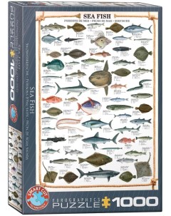Пазл Морские рыбы 1000 деталей Eurographics