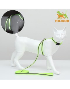 Комплект для кошек светоотражающий ширина 1 см шлейка 21 35 см поводок 120 см зеленый Пижон