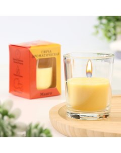 Свеча ароматическая в стекле 5х6см манго Богатство аромата