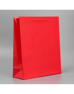 Пакет подарочный ламинированный упаковка red m 24 х 29 х 9 см Доступные радости
