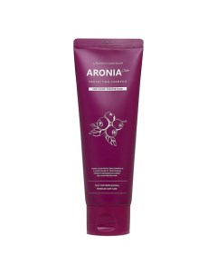 Pedison Шампунь для волос Арония Institute beaut Aronia Color Protection Shampoo 100 Evas