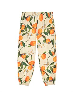 Спортивные брюки Adan Mandarins Molo