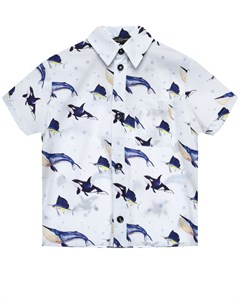 Рубашка с принтом киты Dan maralex