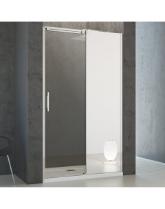 Душевая дверь в нишу Espera DWJ Mirror 120 R Radaway