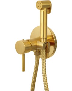 Гигиенический душ X Style X65W со смесителем С ВНУТРЕННЕЙ ЧАСТЬЮ золото брашированное Remer