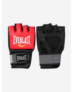 Шингарты тренировочные Красный Everlast