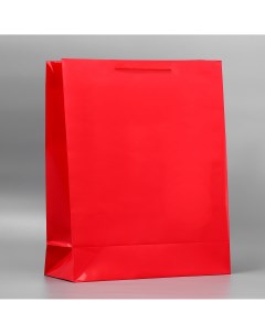Пакет подарочный ламинированный упаковка Доступные радости
