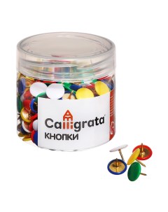 Кнопки канцелярские 12 мм 300 штук цветные в пластиковой тубе Calligrata