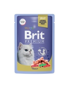 Premium Cat Adult Корм влаж форель в желе д кошек пауч 85г Brit*