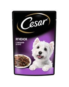 Ягненок с овощами Корм влаж д собак пауч 85г Cesar