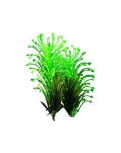 Растение аквариумное на платформе 11 х 8 х 18 см Пижон аква