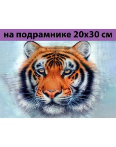 Алмазная мозаика JS25446 тигр на подрамнике 20х30 Nobrand