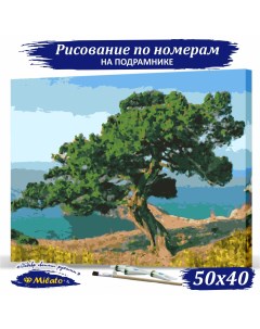 Картина по номерам Крымское дерево RP5 025 40х50см Милато
