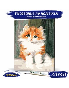 Картина по номерам Рыжий котенок RP3 031 30х40см Милато