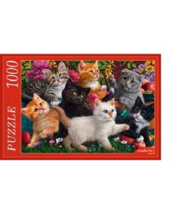 Пазлы Котята в саду 1000 элементов Ф1000 7955 Рыжий кот