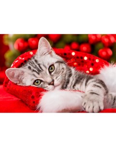 Алмазная мозаика Милый котик 30х40 см Рыжий кот