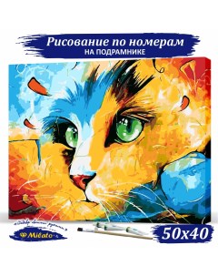 Картина по номерам Цветной кот RP5 043 40х50см Милато