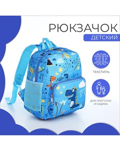Рюкзак детский на молнии 3 наружных кармана цвет голубой Nobrand