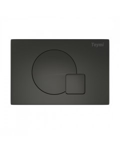 Кнопка смыва Ellie T70023BM черный матовый Teymi
