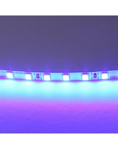 Светодиодная лента цветного свечения 24V синий Lightstar