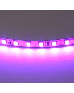 Светодиодная лента цветного свечения 24V фиолетовый Lightstar