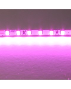 Светодиодная лента цветного свечения 24V розовый Lightstar
