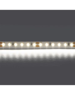 Светодиодная лента холодного белого свечения 24V Lightstar