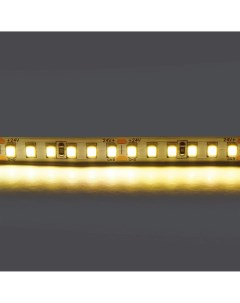 Светодиодная лента теплого белого свечения 24V Lightstar