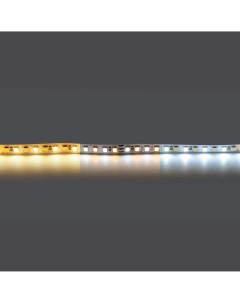 Светодиодная лента белого свечения MIX WHITE 24V Lightstar