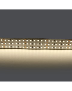 Светодиодная лента белого свечения 24V Lightstar