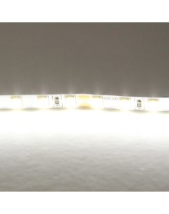 Светодиодная лента холодного белого свечения 24V Lightstar