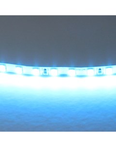 Светодиодная лента цветного свечения 24V голубой Lightstar