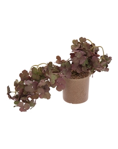 Цветочная композиция 795689 Hoff