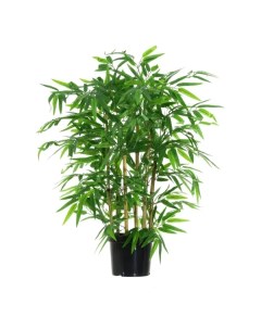 Искусственное растение бамбук Миоко h80 см Без бренда