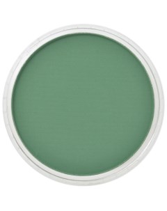 Пастель ультрамягкая зеленый прочный темный Panpastel