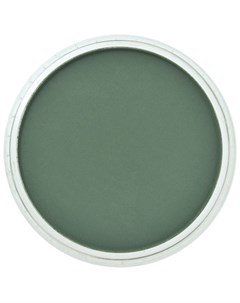 Пастель ультрамягкая зеленый прочный экстра темный Panpastel