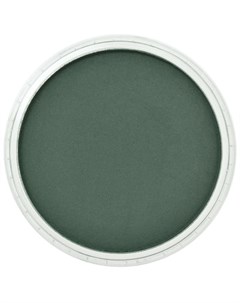 Пастель ультрамягкая зеленый фц экстра темный Panpastel