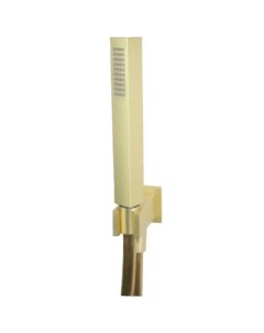 Душевой гарнитур Shower Set AC1045794 матовое золото Webert