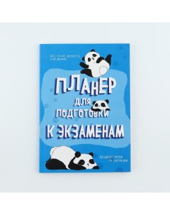 Планинг для подготовки к экзаменам а5 60 л мягкая обложка Nobrand