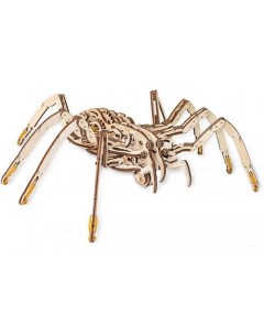 Деревянный конструктор 3D SPIDER Паук 1 0 Ewa (eco wood art)
