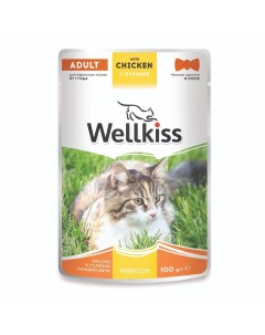 Adult Влажный корм для взрослых кошек с курицей в соусе 100 гр Wellkiss