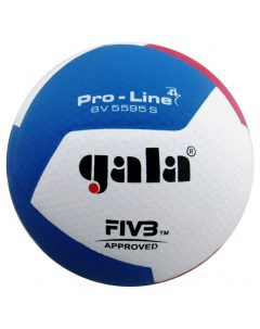 Мяч волейбольный Pro Line 12 FIVB BV5595S р 5 Gala