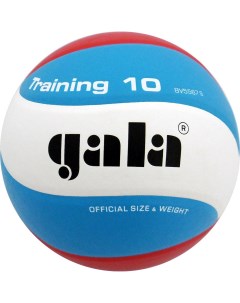 Мяч волейбольный Training 10 BV5567S р 5 Gala