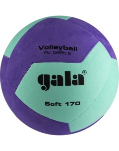 Мяч волейбольный Soft 170 12 BV5685SCF р 5 Gala