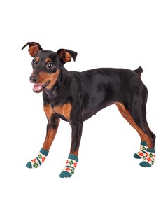 Носки для собак с узором XL зеленый унисекс Petmax