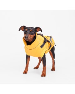 Куртка жилетка со шлейкой для собак M желтая Rungo