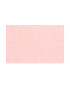 Чернила на спиртовой основе 22 мл Цвет Поросячий розовый Sketchmarker